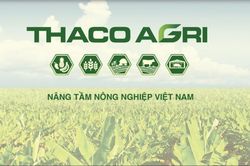THACO AGRI bị phạt 92,5 triệu đồng vì chậm công bố thông tin