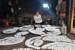 Tuyên Quang: Xã Trung Thịnh phát huy lợi thế, mở hướng phát triển kinh tế