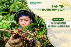 Thị trường nông sản 5/10/2026: Cà phê nhích tăng, hồ tiêu và lúa gạo ổn định