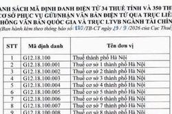 Cập nhật: Mã định danh điện tử mới của 34 thuế tỉnh, thành phố và 350 thuế cơ sở