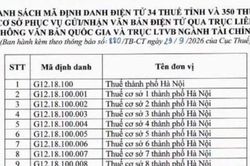 Cập nhật: Mã định danh điện tử mới của 34 thuế tỉnh, thành phố và 350 thuế cơ sở