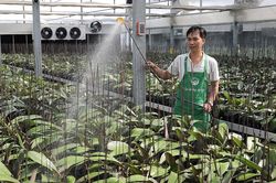 Khơi thông nguồn lực cho tăng trưởng nông nghiệp