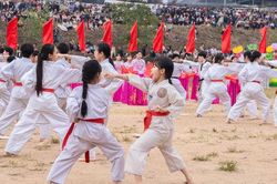 Nơi Taekwondo trở thành môn thể thao thế mạnh