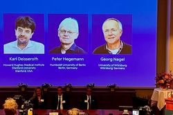 Nobel Y sinh 2026 vinh danh công nghệ dùng ánh sáng giải mã bí ẩn não bộ