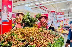 Để OCOP trở thành động lực cho kinh tế nông thôn