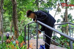 'Dải lụa ký ức' dài 800m uốn lượn bên Hồ Gươm
