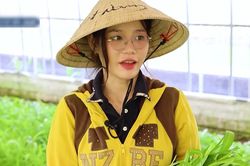 Cô gái Tây Ninh lên tivi Hàn Quốc, trồng rau kiếm 500 triệu đồng/tháng