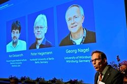 Chủ nhân giải Nobel Y sinh năm 2026 là ai?