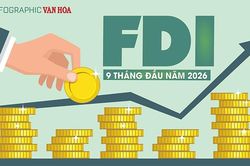 50,36 tỉ USD vốn ngoại đổ vào Việt Nam, tiền chảy vào đâu?