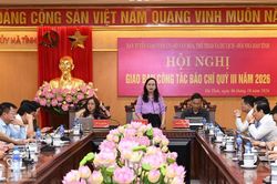 Hà Tĩnh thông tin về hiện tượng cá chết rải rác trên vùng biển thời gian qua