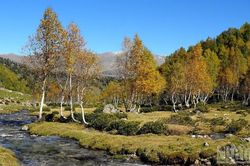 [Ảnh] Thu vàng Kavkaz ở miền nam nước Nga