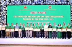 Nghệ An biểu dương 130 điển hình nông dân sản xuất, kinh doanh giỏi