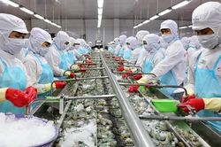 Tạo đường băng cho doanh nghiệp nhỏ và vừa 'cất cánh': Tăng lượng phải tăng chất