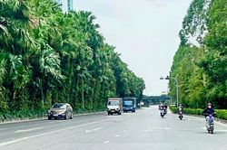 Thời tiết ngày 6/10: Bắc Bộ đêm và sáng trời lạnh, Trung Bộ mưa to
