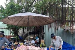 Thịt đông lạnh nhập khẩu: Mua càng nhiều, giá càng rẻ