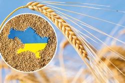 Các nước láng giềng thuộc EU từ chối giúp Ukraine xuất khẩu ngũ cốc