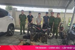 Khởi tố 3 đối tượng trong đường dây trộm chó