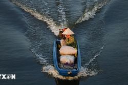 Bảo vệ nguồn nước trước áp lực biến đổi khí hậu, xâm nhập mặn
