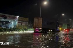 Thành phố Hồ Chí Minh: Nước dâng nhanh, gây ngập sâu ở Tân Hiệp trong đêm