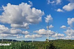 Để thị trường carbon 'cất cánh': Hoàn thiện pháp lý, thúc đẩy chuyển đổi xanh