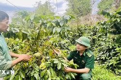 Quảng Trị huy động gần 135 tỷ đồng thúc đẩy công nghiệp nông thôn