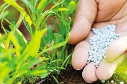 Pháp siết tiêu chuẩn đối với phân bón trước nguy cơ gia tăng ung thư