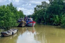 Siết quản lý đội tàu để hành trình vươn khơi đúng luật