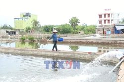 Nguồn vốn mở đường cho những sinh kế mới