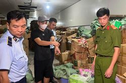 Khởi tố chủ cơ sở sản xuất 19,3 tấn bánh kẹo giả nhập ngoại