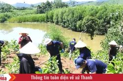 Cùng nông dân xây dựng sinh kế thích ứng với biến đổi khí hậu