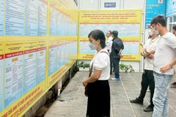 Khoảng trống sau con số 1,6 triệu thanh niên không việc làm, không học tập và đào tạo