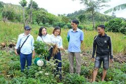 Sinh kế bền vững nơi vùng cao