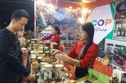Nâng sức cạnh tranh cho sản phẩm OCOP