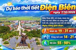 Bản tin Dự báo thời tiết ngày 7/10/2026