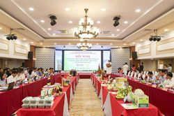 Đề xuất sản phẩm tiêu biểu tham gia Festival OCOP Việt Nam năm 2026