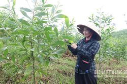 Làm giàu từ kinh tế tổng hợp