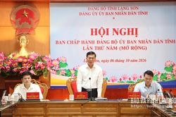 Đảng ủy UBND tỉnh triển khai nhiệm vụ trọng tâm quý IV