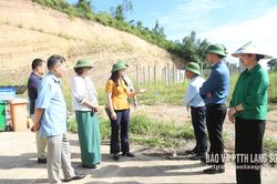 Kiểm tra tình hình thực hiện dự án Trường Mầm non Hòa Cư