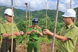 Xã Nghĩa Đô ra quân triệt phá các điểm bẫy bắt chim di cư