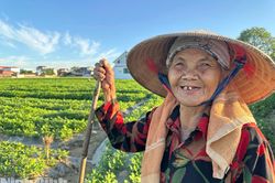 Đẩy nhanh tiến độ sản xuất vụ Đông