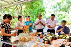 Để thương hiệu OCOP không chỉ là "tấm vé"