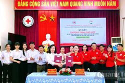 Tăng cường phối hợp hỗ trợ nhân đạo, phát triển sinh kế bền vững