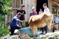 Hỗ trợ sinh kế và xóa nhà tạm cho hộ nghèo