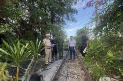 Ninh Bình: Hoa Lư xử lý vi phạm hành lang đường sắt, ngăn nguy cơ tai nạn