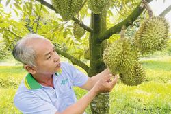 Khoa học công nghệ tạo lực đẩy mới cho nông nghiệp