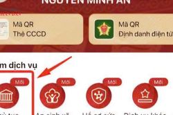 TP. Hồ Chí Minh: Đẩy mạnh thực hiện 2 tiện ích mới trên ứng dụng VNeID