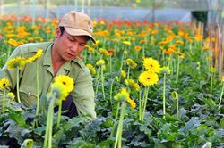 Hà Nội đặt mục tiêu thành lập mới 150 hợp tác xã năm 2027