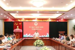 Sơn La: 41 xã, phường, đơn vị tranh tài tại Đại hội Thể dục thể thao lần thứ X