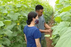 Hà Nội phấn đấu thành lập mới từ 150 hợp tác xã năm 2027