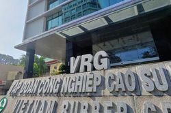 Cao su Việt Nam (GVR) ước lãi hơn 6.800 tỷ đồng, lợi nhuận cả năm dự báo vượt 52% kế hoạch